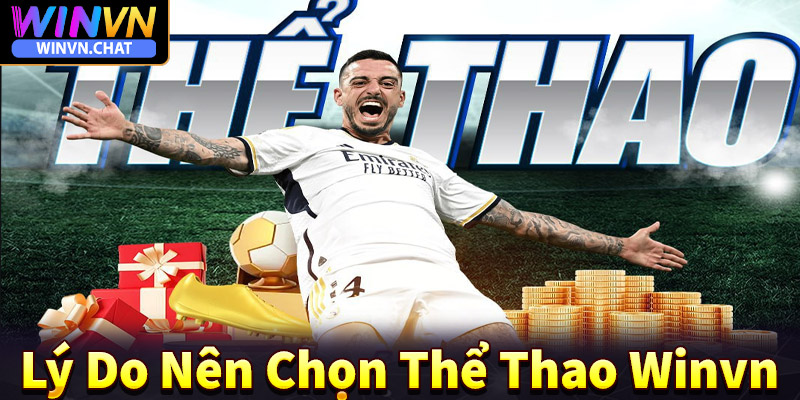 Lý do anh chị em bet thủ nên chọn lựa sân chơi thể thao winvn