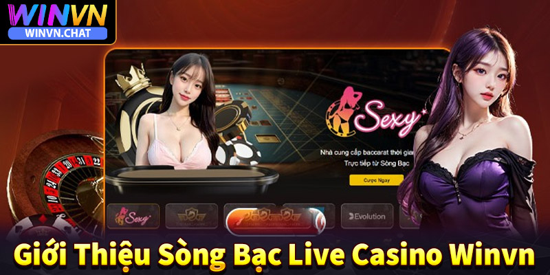 Giới thiệu chung về sòng bạc live casino winvn